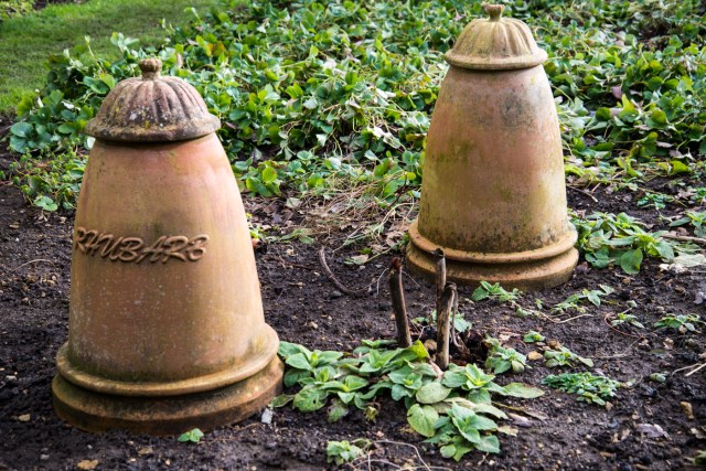 Chastleton Feb 2013-1597