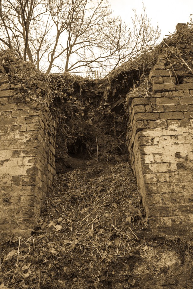 Lime kiln