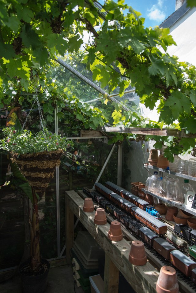 Ager garden NGS May 2013-6868