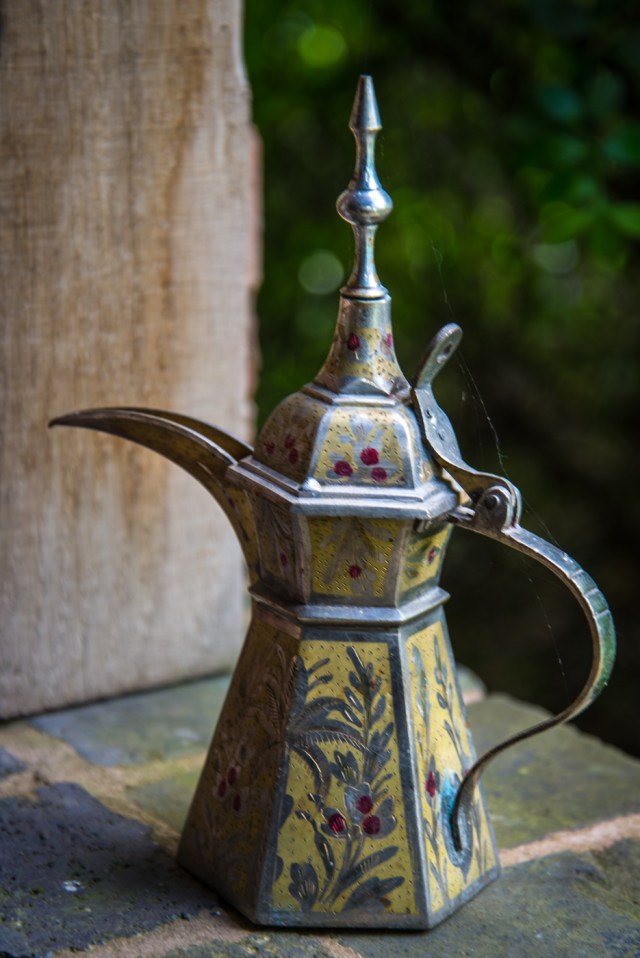 Ager garden NGS May 2013-6878