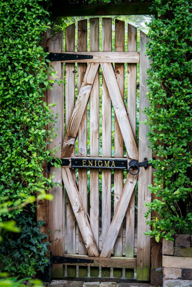 Ager garden NGS May 2013-6884