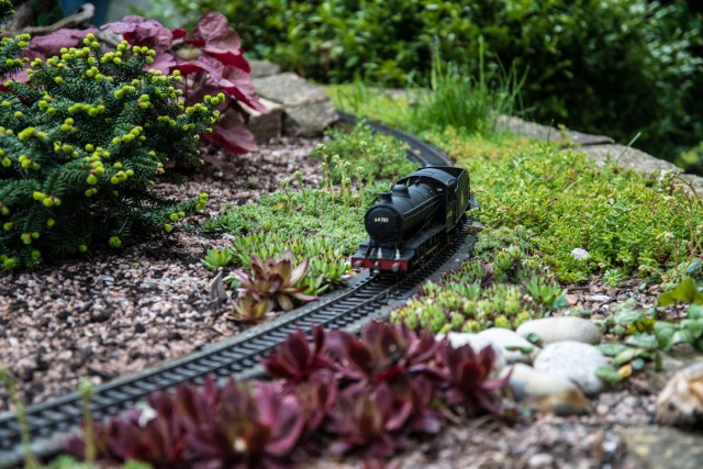 Ager garden NGS May 2013-6900