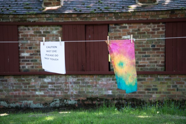 Avoncroft 60s day-7826