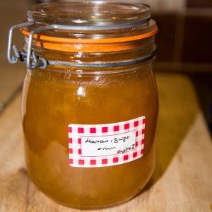 Marrow & ginger 2013 jamming-2137