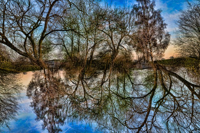 Gateway to Narnia - the Wood Between the Worlds