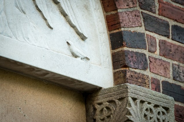 Sacred Heart DAN talk-0866 - Copy