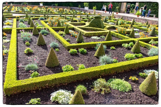 hanbury-hall-apple-day-6014