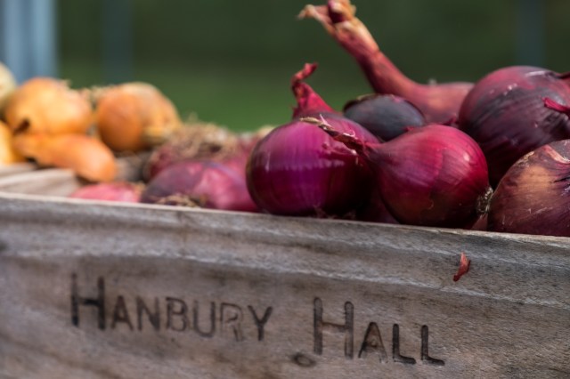 hanbury-hall-apple-day-6054