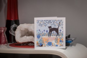 ruth-birthday-2017-4014